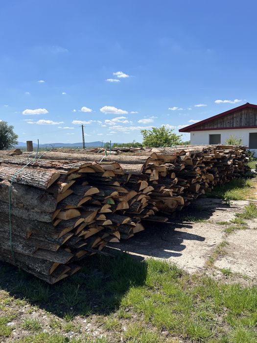 Lemne de foc stejar/gorun – esență tare