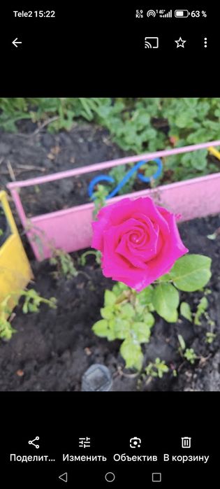 Продам дачу в черте города