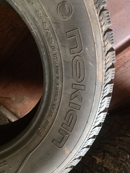 Зимние шины с шипами