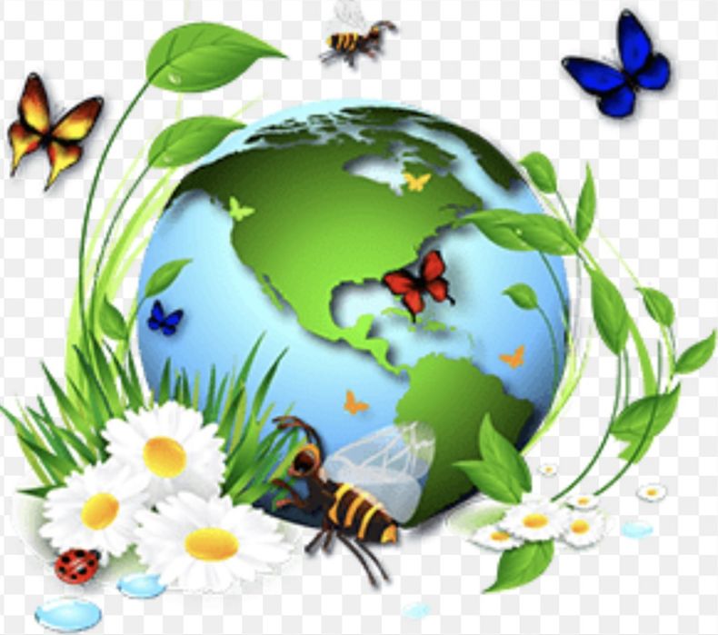 ҰБТ ЕНТ Биология база