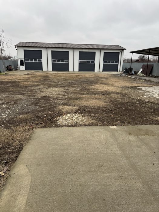 De vanzare / De inchiriat