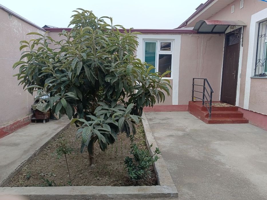 Kotedj 2 sotixlik Mindonobod