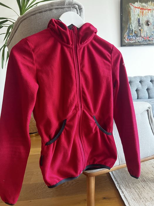 Полар зимен (планина)