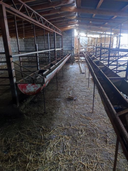 Продается откормочная Фазенда