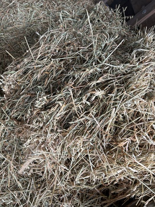 Vand baloti paie 2025