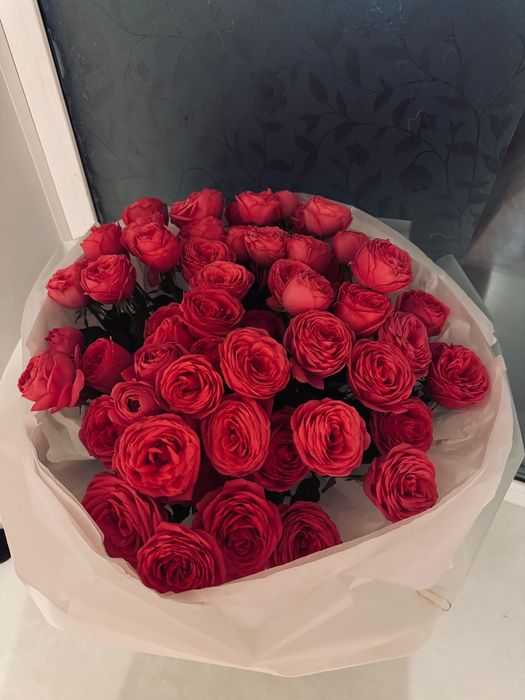 51 роза свежие кустовые