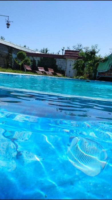 Samarqandda dacha
