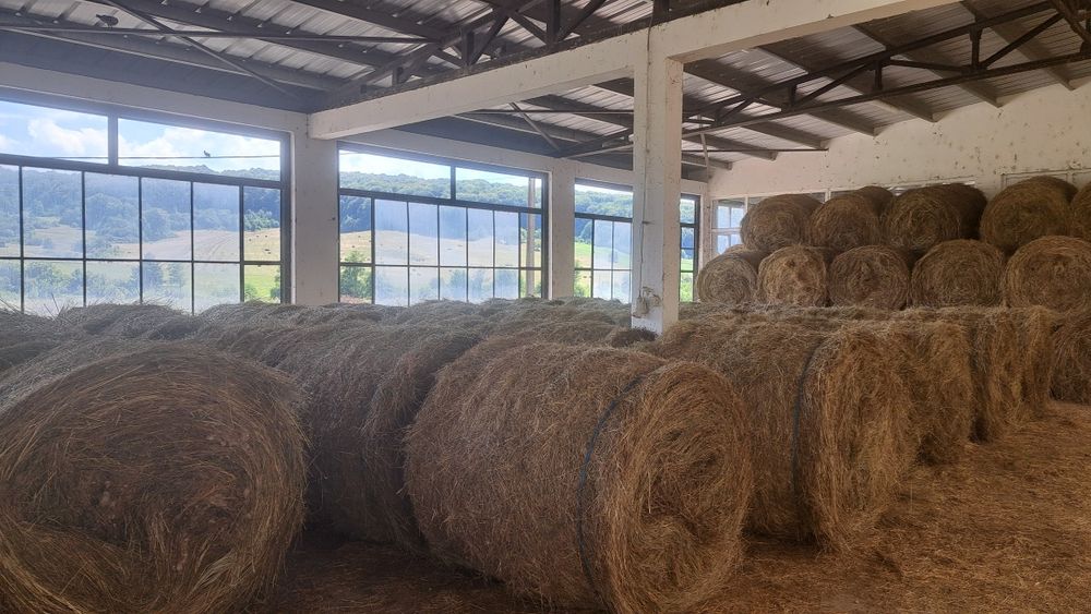 Vând baloți de fân natural