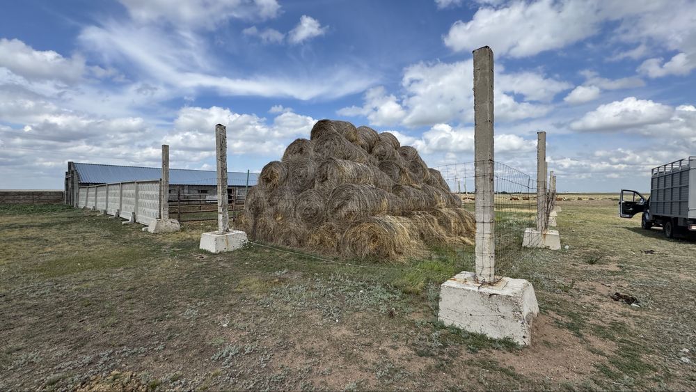 Продам ферму, базу, хозяйство,дом