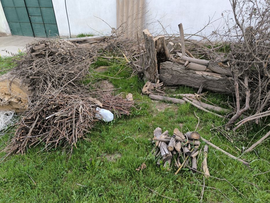 Отын дрова шыбык