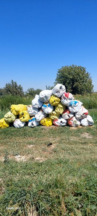 Баклажон сотилади.