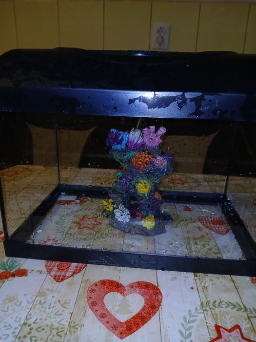 Acvariu pentru pești