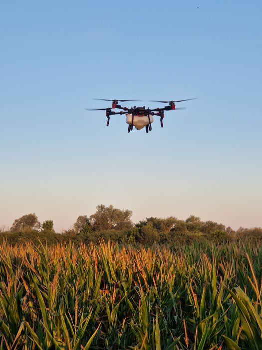 Prestari servicii cu drona agricola