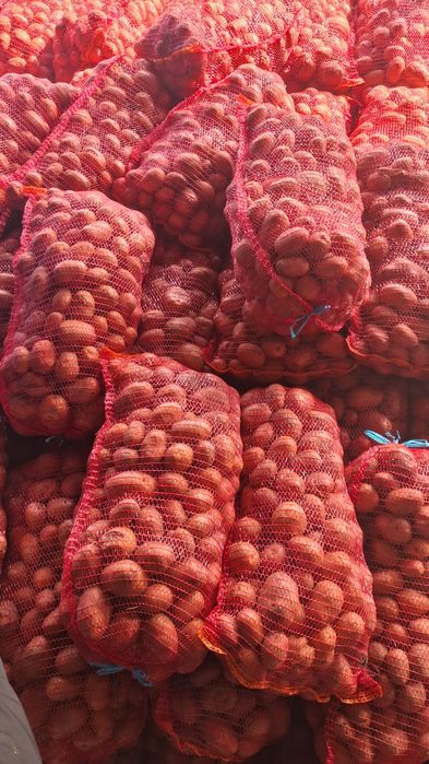 Cartofi de consum și de sămânță