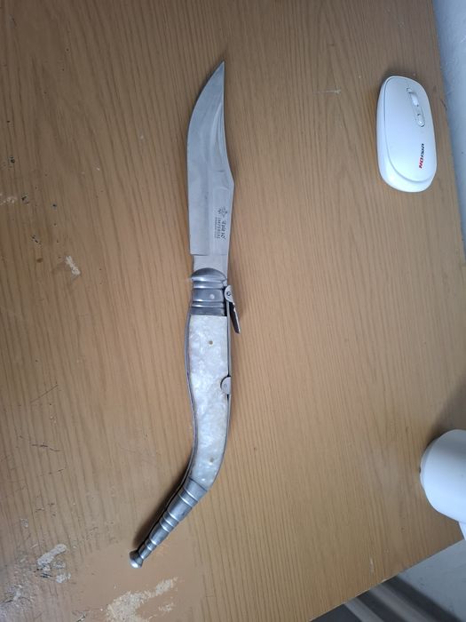 Briceag spaniol cricket