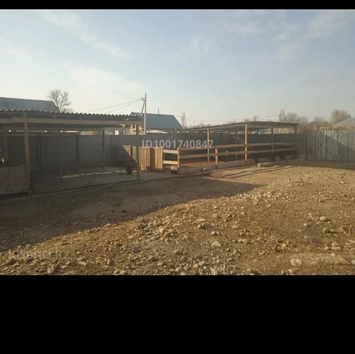 Продается дом на шолдале