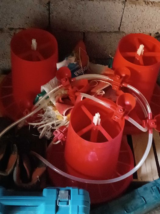 Цыплятники, кормушки, поильная система в комплекте для малого бизнеса