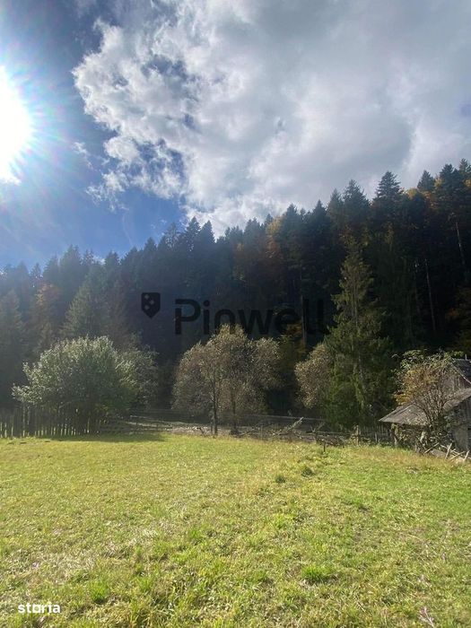 Teren intravilan 4.100 mp de vânzare | Voroneț | Zonă deosebită