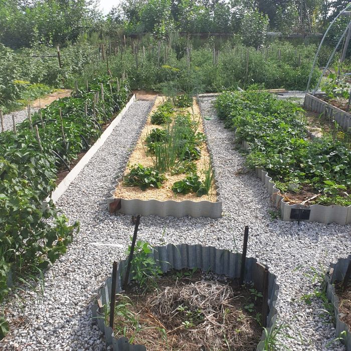 Продам дачу в обществе Весна