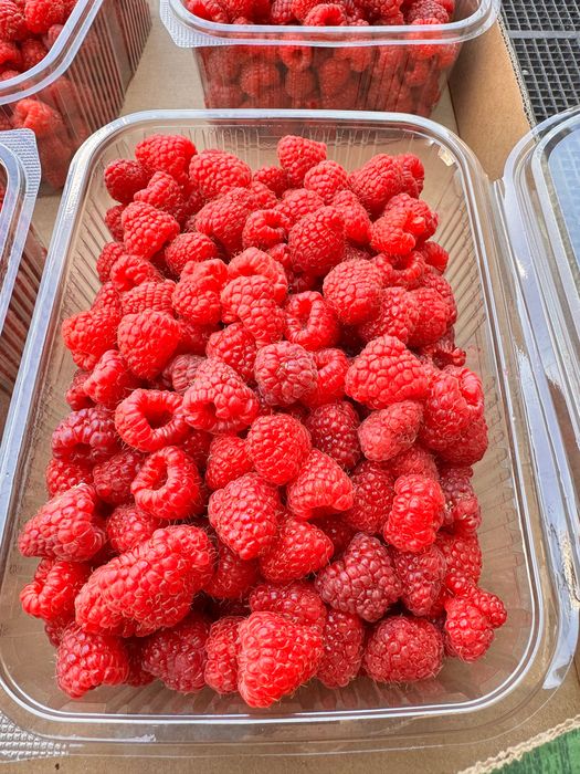Zmeură de vânzare