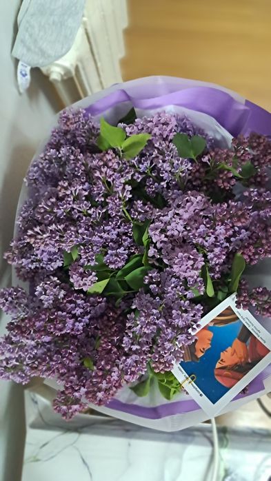 Сирень гүлі арзан бағада