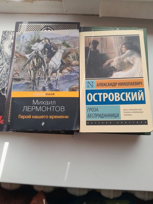 Книги по школьной программе 10,11 классов
