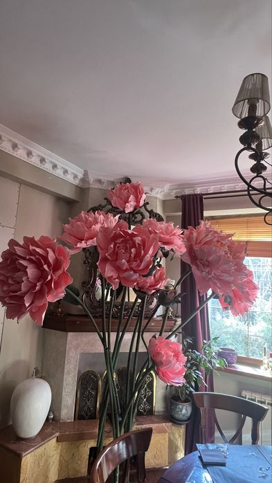 Ростовые цветы. Есть пионы, тюльпаны ростовые