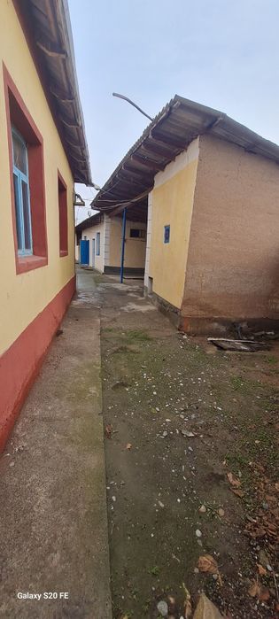 Сурхондарё вилоят денов