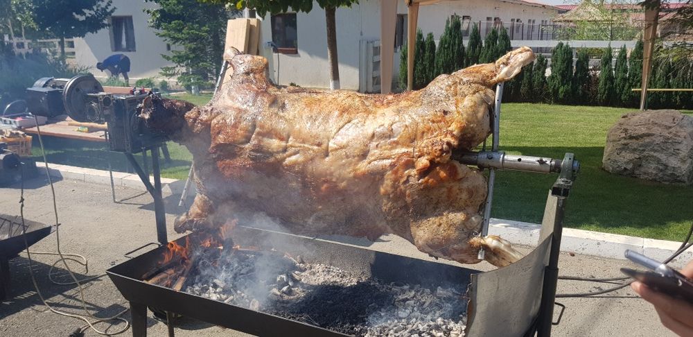 evenimente protap rotisor animale vitel miel purcel