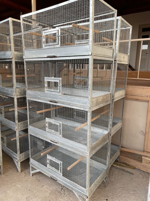 Qafas Valer sotiladi