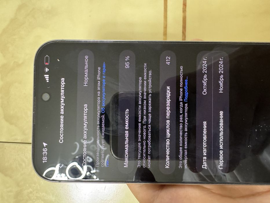 16 про мах 256гб