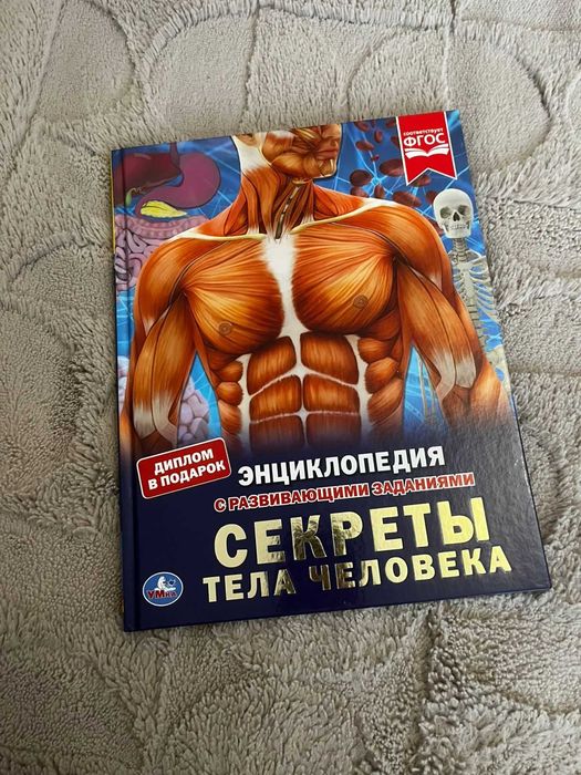 Книга - энциклопедия Секреты тела человека
