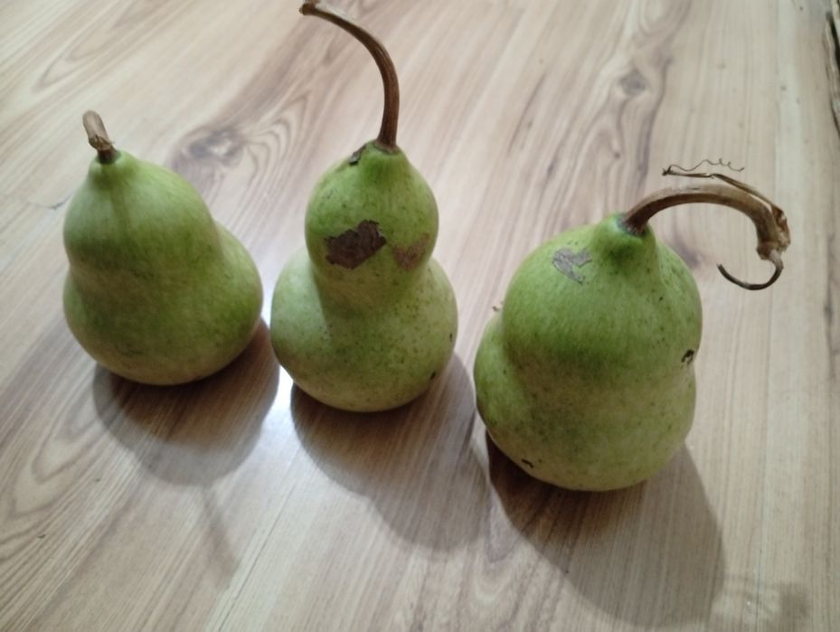 Продавам кратунки