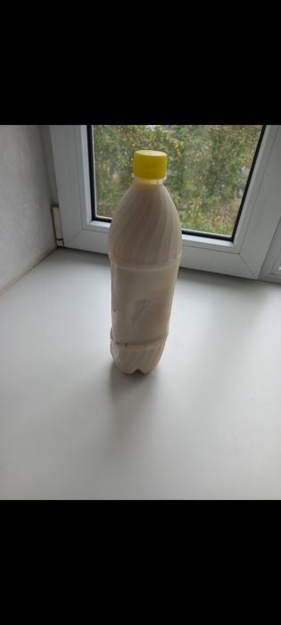 Продам топленый бараний курдюк