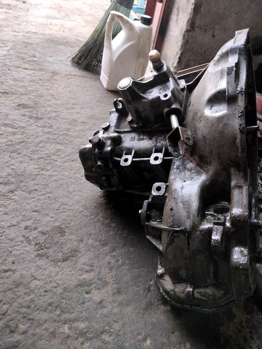 Коровка длинный F16