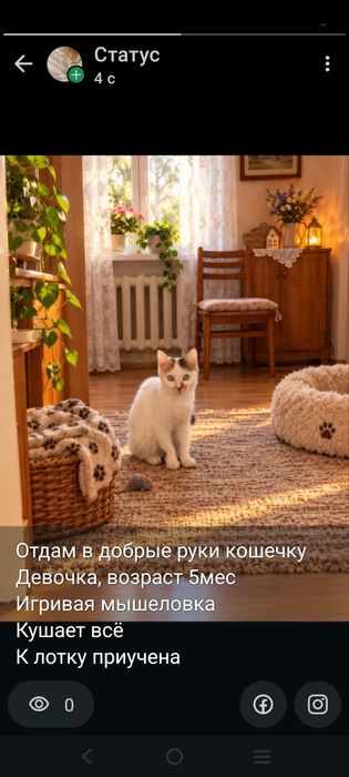 Отдам в добрые руки