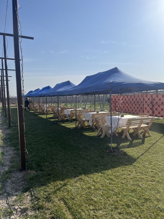 Шатры в аренду для мероприятий Аренда зонт | ПРОКАТ ШАТРОВ