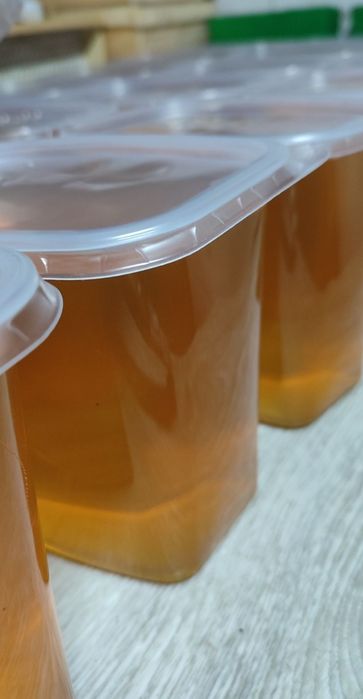 Мед в сотах 2025 года