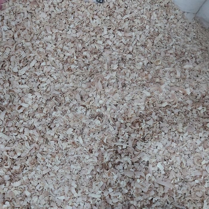 Apilka mayda qipiq апилка