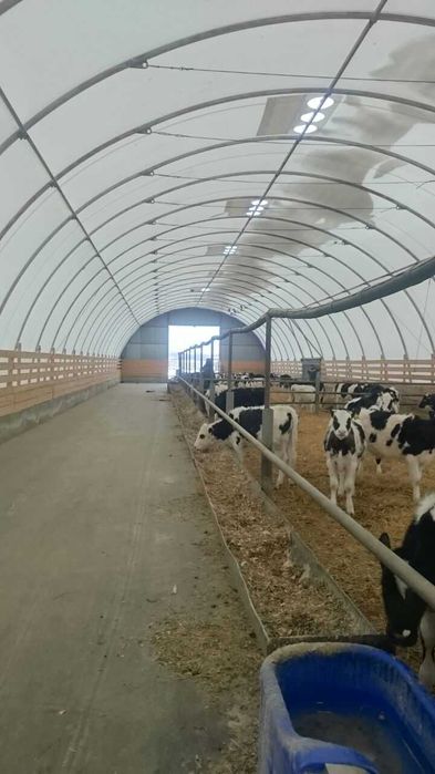 Металлотентовые ангары