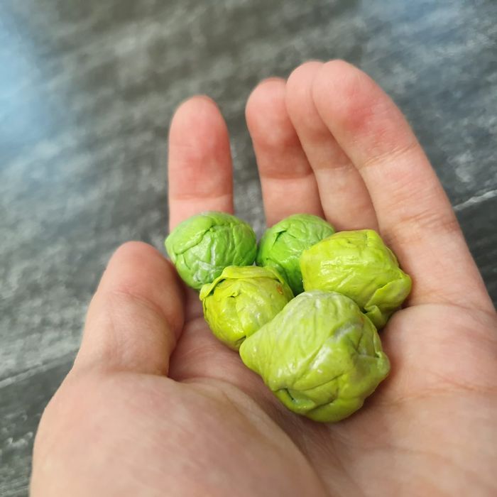 Фрукты и овощи из полимерной глины