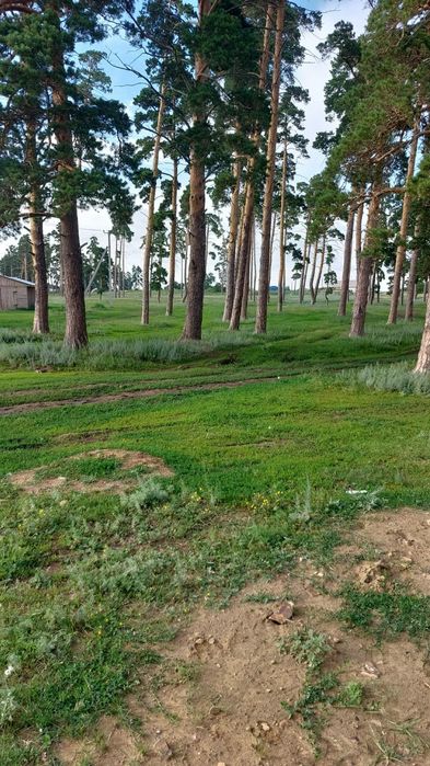 Продам участок 50 соток