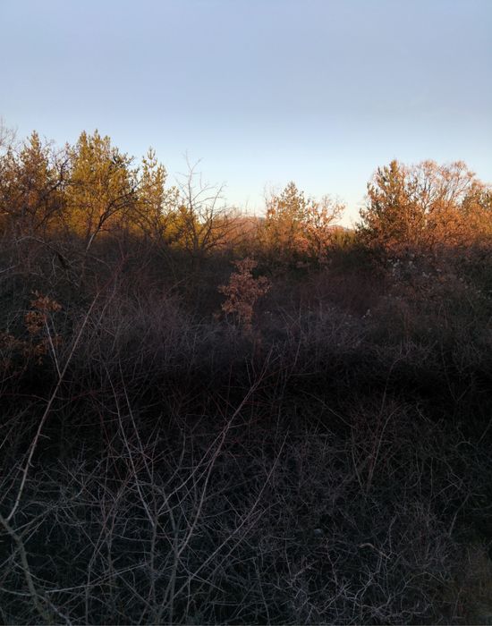 Продава се Парцел в Дупница - 960 кв.м за 15 €/кв.м - Снимка #1