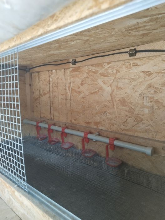 Продам брудеры для цыплят