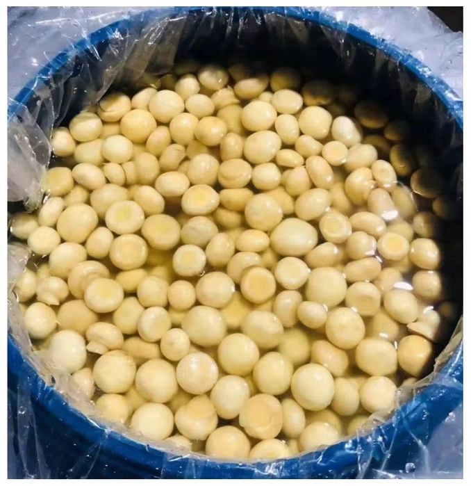 Грибы шампиньены в рассоле. Qóziqorin shampinyon