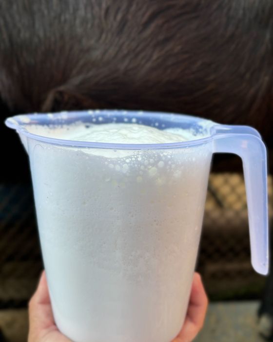 Ешкі сути сатылады