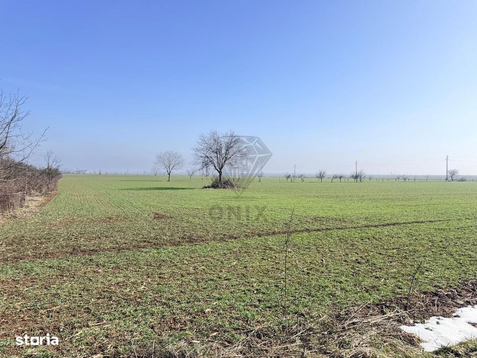 Teren 3000mp Baicoi intravilan