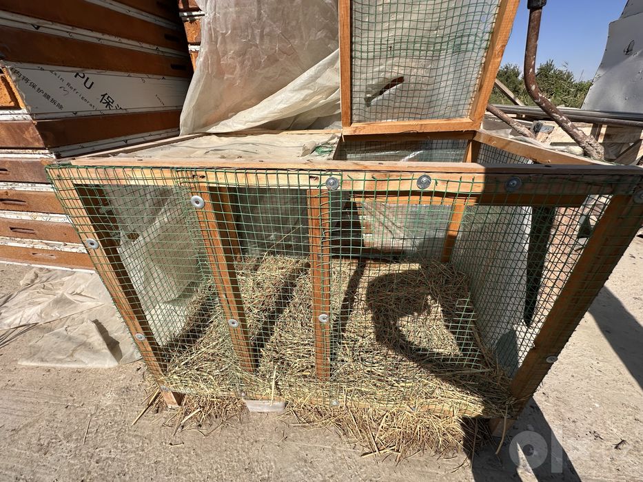 Quyon, bedana va jo’jalarni boqish uchun mo’ljallangan maxsus katak