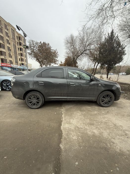 Cobalt Midnight MSM 2026