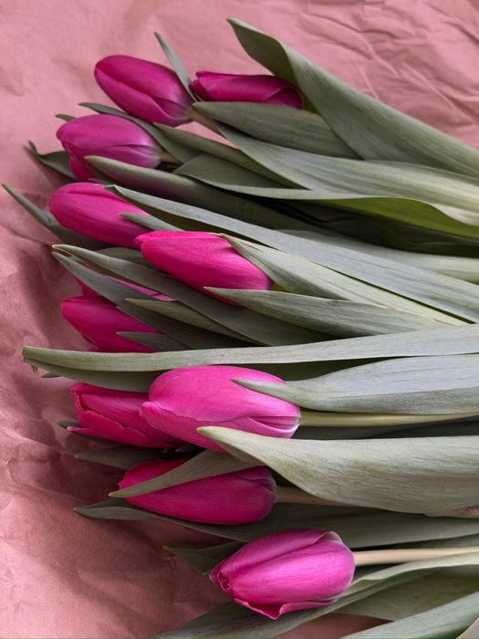 Тюльпаны на 8 марта | Предзаказ